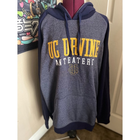Champion Athleticwear UCI Hoodie - Picture 1 of 9